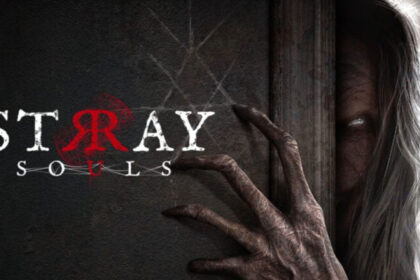 Stray Souls para PC